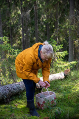 Naklejka premium Woman picking berries and mushrooms in forest 