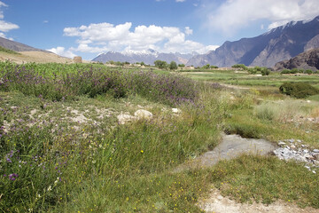 Jalang village among Pamir mountains in the Gorno-Badakhshan region in Tajikistan