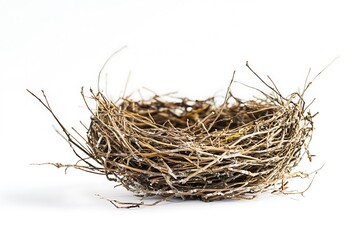 Obraz premium Empty bird nest isolated on white