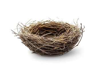 Obraz premium Empty bird nest isolated on white