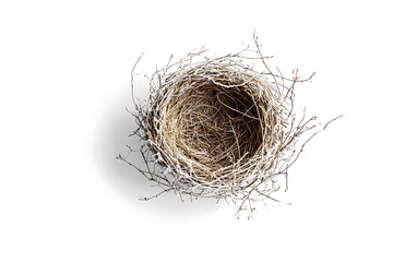 Bird nest isolated.