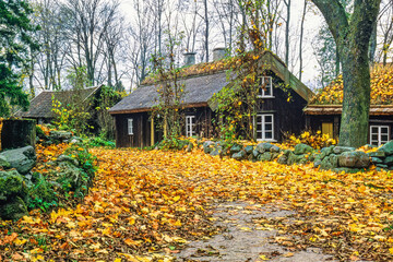 Old wooden cottages in a small village with autumn leaves on the road © Lars Johansson