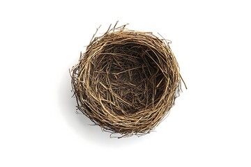Obraz premium Horizontal shot of an Empty Bird's Nest on a White Background With Shadow.
