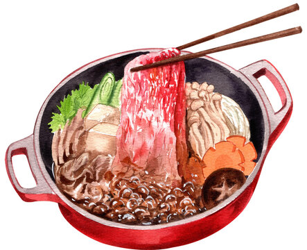 sukiyaki japanese food in hotpot with vegetable, hand-drawn watercolor  illustration