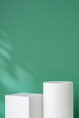 Simple geometric shapes on a green background with soft lighting