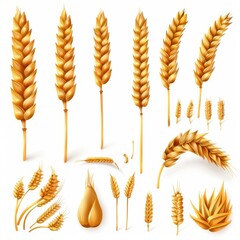 Wheat icon, rye ears sign, barley emblem, oats, cereals symbol, wheat ear, seeds, corns set