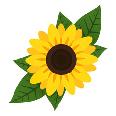 Vector sunflower with leaves illustration for decor, easter, sticker, clipart, print