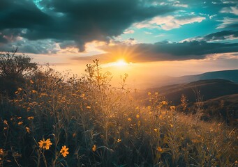 Fototapeta premium Sunset Over the Meadow with Flowers