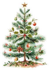 PNG Festive watercolor Christmas tree illustration