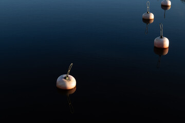 dark water mooring buoys in harbor