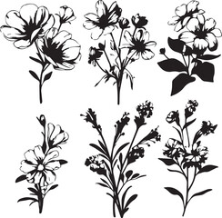 Set Flowers. Hand drawn vector illustration	