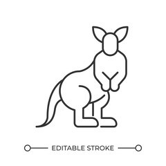 Kangaroo linear icon. Marsupial animal. Australian mammal. Wildlife habitat. Pouch kangaroo. Hopping animal. Thin line illustration. Contour symbol. Vector outline drawing. Editable stroke