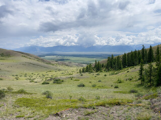 Landscape of the Altai mountains in the summer. Russia.