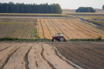 Ploughing a field at sunset with a tractor and plough, ready for crops on a farm © Bagatela