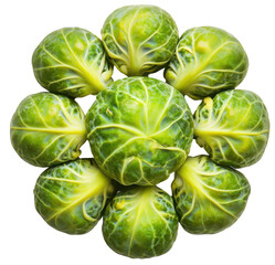 Obraz premium Top view of Brussel sprouts cluster on transparent background. Small green vegetables with tightly packed leaves.