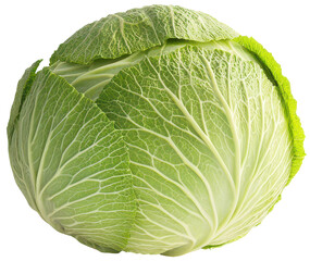 Fototapeta premium Light green cabbage on transparent background. Round, smooth leaves with visible veins.