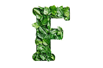 Botanical Letter F with Green Leaves and Foliage, Nature-Inspired Typography and Eco-Friendly Design on Transparent Background, Perfect for Environmental Themes