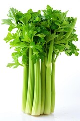 Fresh celery stalks on a white background