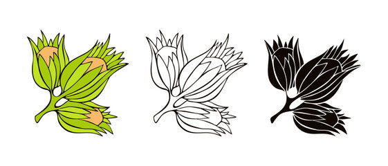 Hazelnuts icon set, stylized hand drawn in contour and silhouette, isolated on white background.