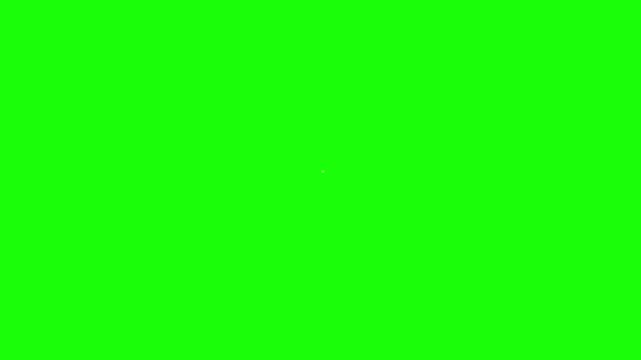 3d Animation of Vison 2025 isolated on clean white background with green screen and alpha matt to remove or replace background