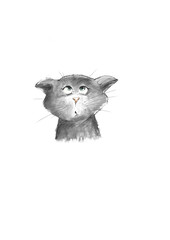 illustration of a funny cat on white