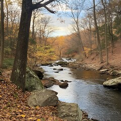 Autumn Creek With Yellow Leaves