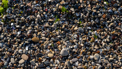 A variety of smooth stones cover the sandy beach, glistening under sunlight with patches of seaweed nearby, creating an intricate landscape