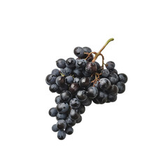 Fototapeta premium Fresh bunch of black grapes, white isolate background