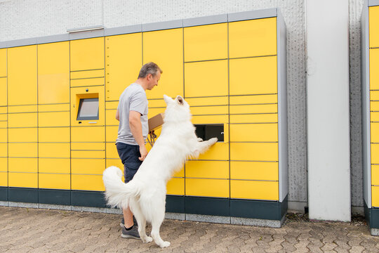 Man and dog collecting parcel from terminal