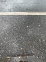 A close-up image of a wet road surface.