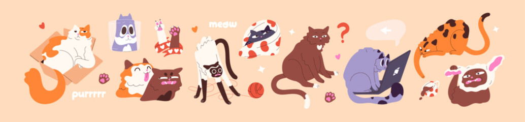 Funny cats set. Cute naughty kitties playing with yarn, have fun, meow. Typical feline behavior. Amusing kittens lying in box, sit on laptop. Goofy, fool pets. Flat isolated vector illustrations
