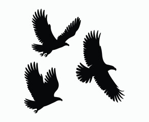 Fototapeta premium Bald eagle silhouette EPS vector isolated illustration and icon template on a white background