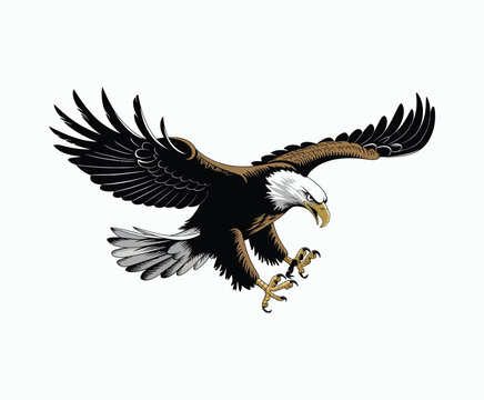 Bald eagle silhouette EPS vector isolated illustration and icon template on a white background