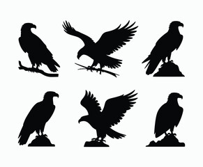 Obraz premium Bald eagle silhouette EPS vector isolated illustration and icon template on a white background