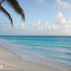 palm trees on the beach