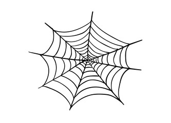 Spider web. Hand drawn spiderweb illustration. Halloween decoration element.