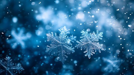 Close-up view of delicate, frost-covered snowflakes with intricate patterns, framed by soft, icy branches. The blurred blue background with falling snow creates a serene, wintery atmosphere.
