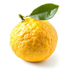 Closeup of bright yellow yuzu fruit on clean white background