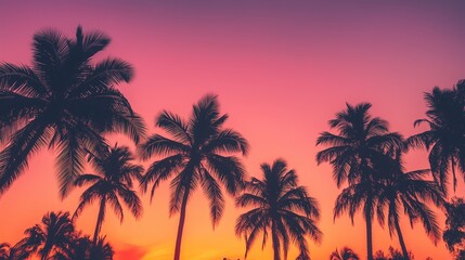 Obraz premium Colorful sunset over palm trees creating a serene tropical atmosphere at dusk