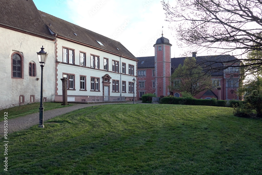 Wall mural Museum in Ladenburg