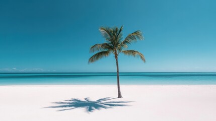 A solitary palm tree stands on a pristine beach with turquoise waters, creating a serene tropical paradise atmosphere.