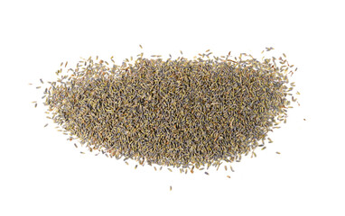 Dry lavender flowers isolated, scattered lavandula perfume buds, petals, fragrance lilac blossoms, herbs