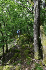 Obraz premium Wanderweg am Bornkasten im Westerwald