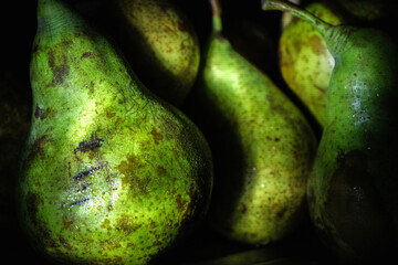Green Pears in Shadow