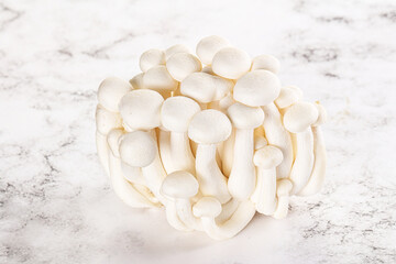 Japanese Shimeji mushroom for cooking