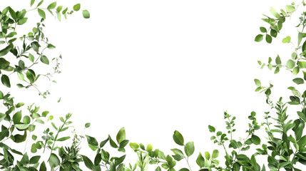 Green leaves arranged decorative frame transparent background.