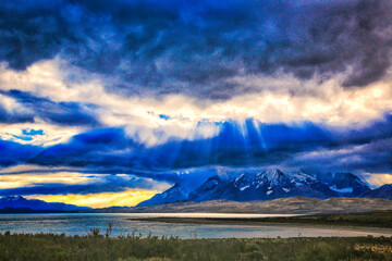 Chile's Torres del Paine National Orchard - Nature and Wildlife