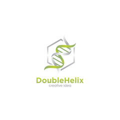 Double Helix Logo Design Template