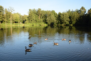 See bei Muenster-Breitefeld