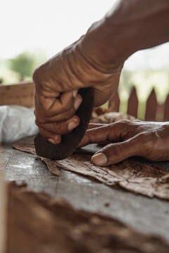 Cuban cigar craftsmanship in Vinales, close-up view